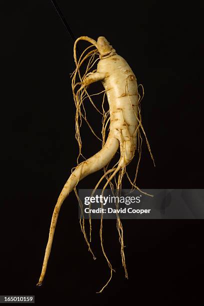 From lore to the lab. We follow the story of ginseng, a root used as a remedy for everything from fatigue to low sex drive for thousands of years....