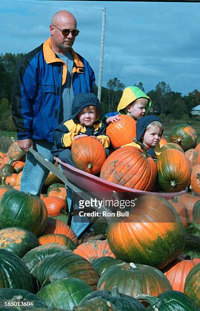 Peter Coulis of Oshawa has a load full as he prepares for the fall tradition of thanksgiving . With sons Joshua 3 in yellow jacket and Tyler 3 left...