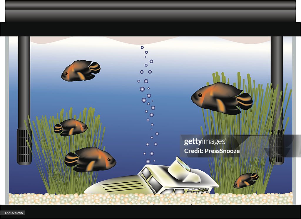 Aquarium