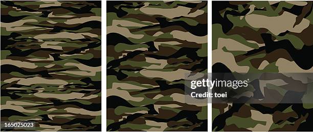27 Bdu Pattern Stock Photos, High-Res Pictures, and Images - Getty Images