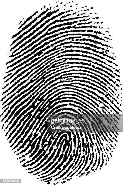 thumb print - fingerprint stock illustrations