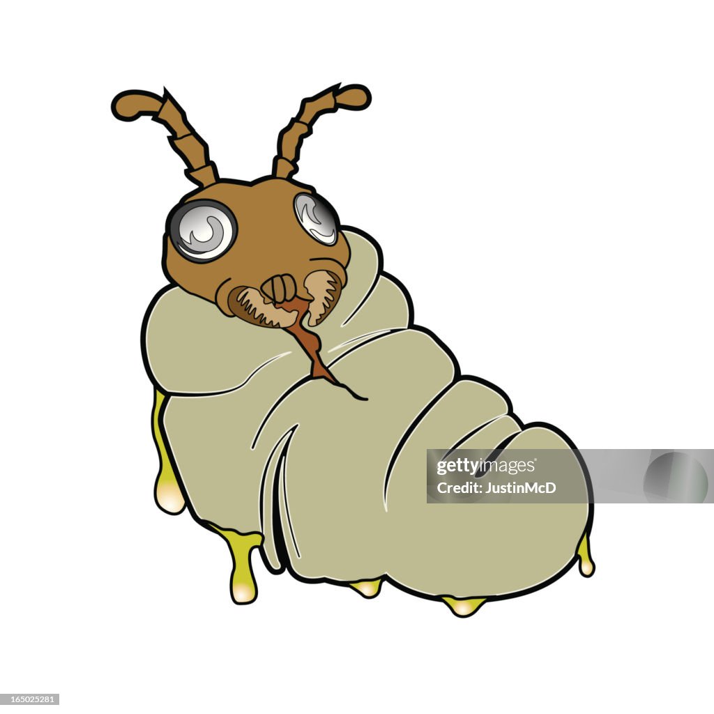 Ant Cocoon (vector)
