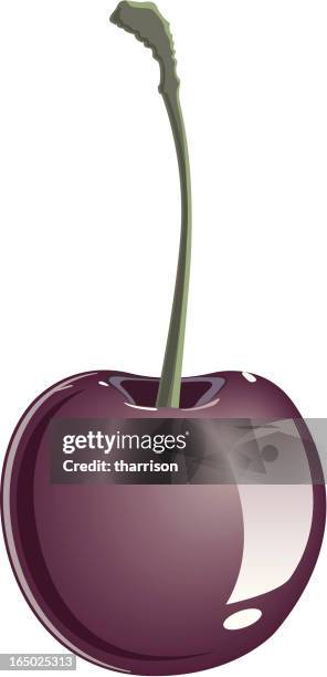 vector black cherry - black cherry stock illustrations