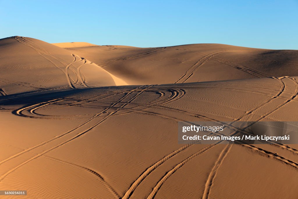 Sand dunes with wheel ruts and tire marks