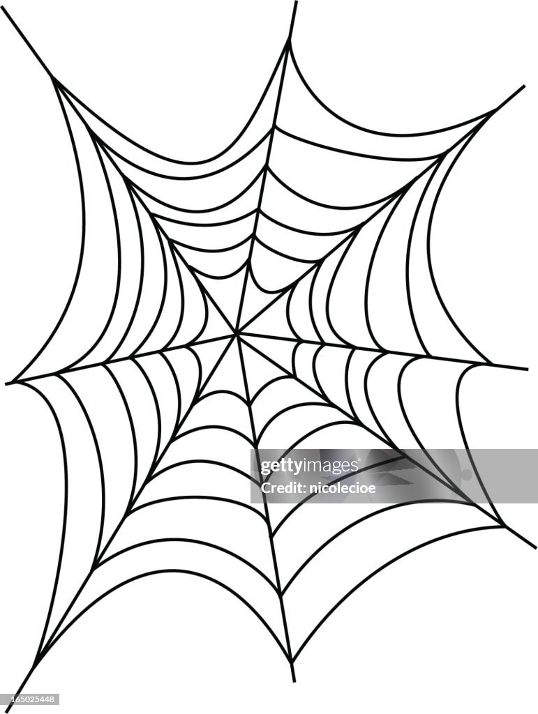 Cobweb
