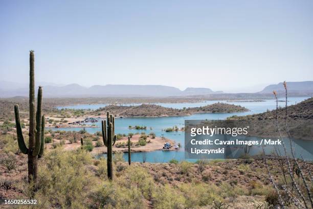 desert mountain lake environmental landscape - peoria arizona photos et images de collection