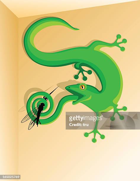 gecko caught a mosquito - lizard tongue stock illustrations