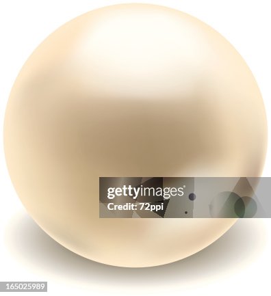 Vector Pearl Vector Pearl