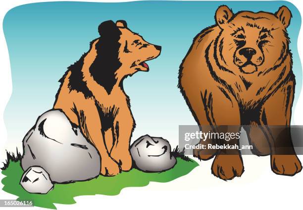 wilderness bears - zoo landscape vector stock illustrations