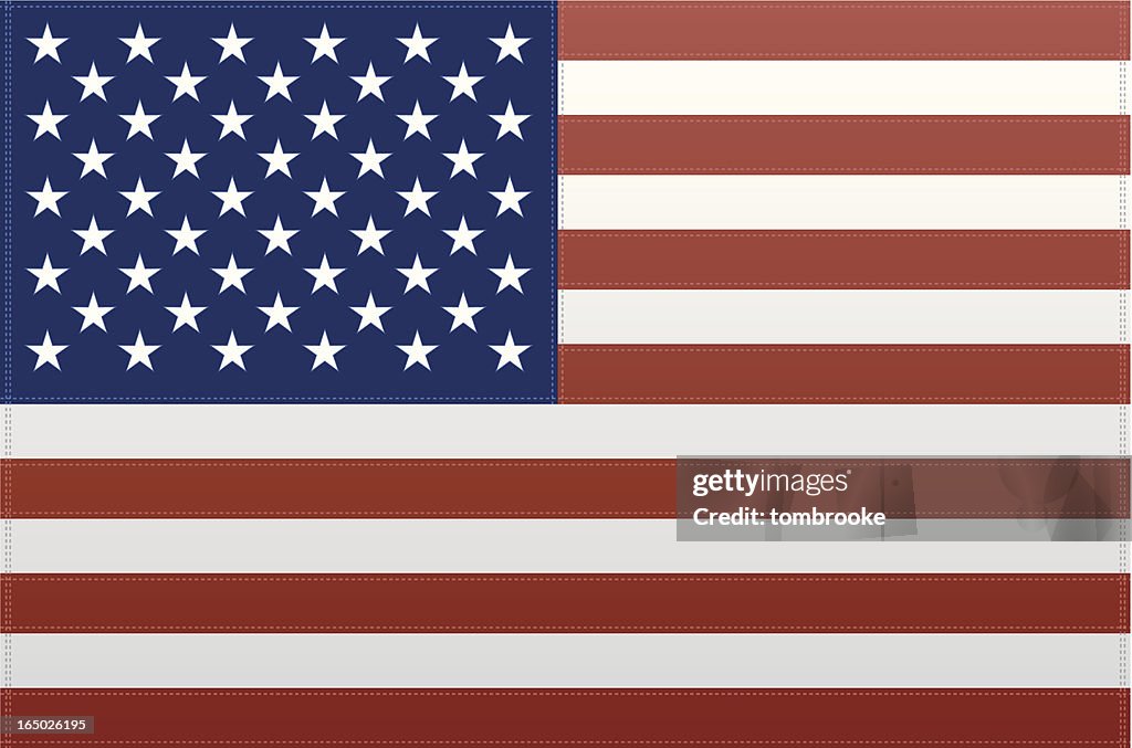 USA Flag (Vector)