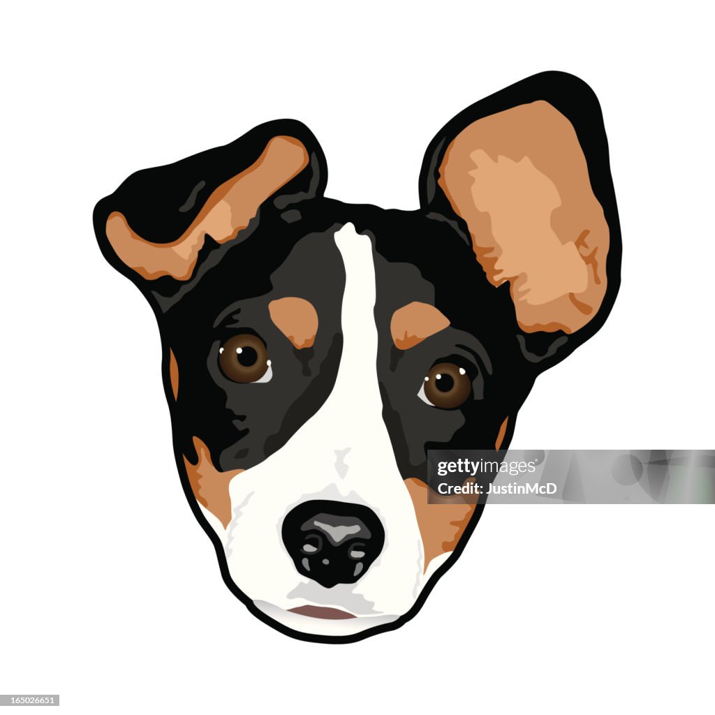 Dog Head (vector)