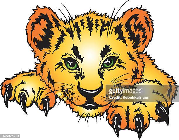baby zoo lion - lion cub stock illustrations