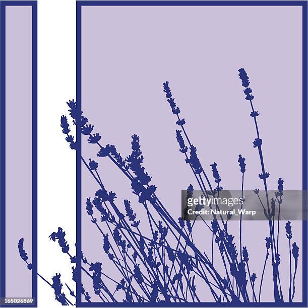 plant silhouette - lavender stock illustrations