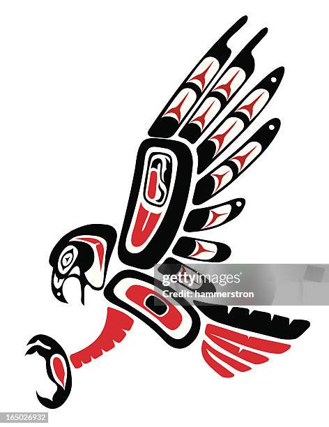 hawk - talon stock illustrations