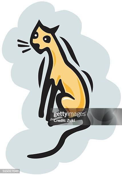 kitty cat - siamese cat stock illustrations