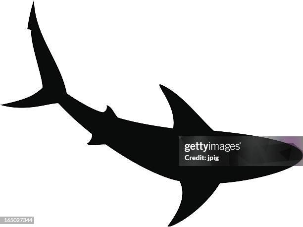 shark 1 - mako stock illustrations