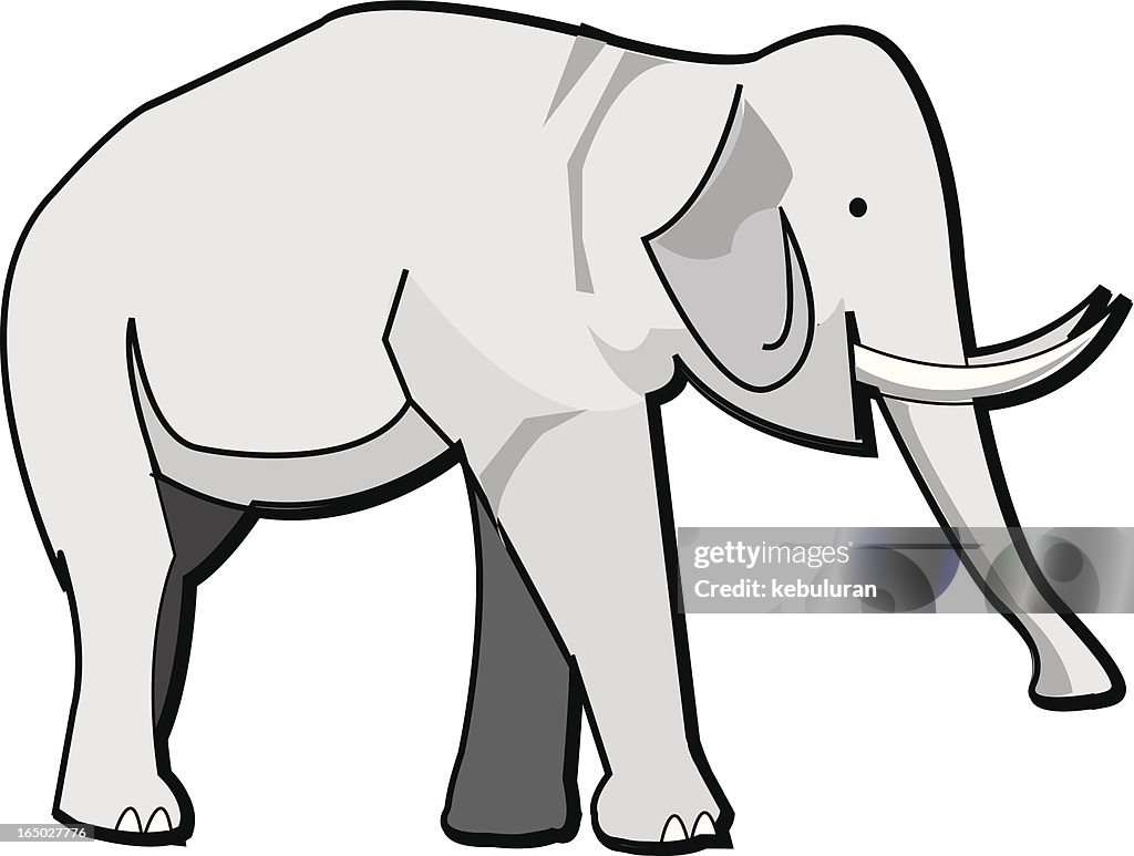 Elefante