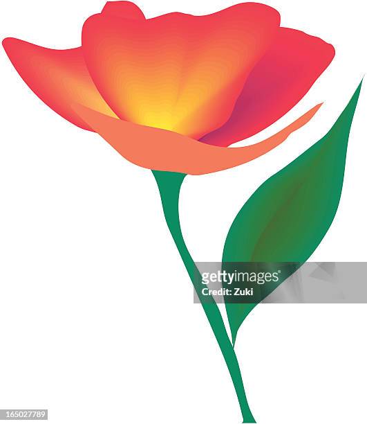 47 Single Flower Stem Cartoon High Res Illustrations - Getty Images
