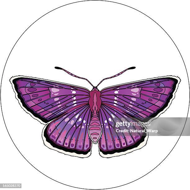 ilustraciones, imágenes clip art, dibujos animados e iconos de stock de insecto diseño 20 - vlinder