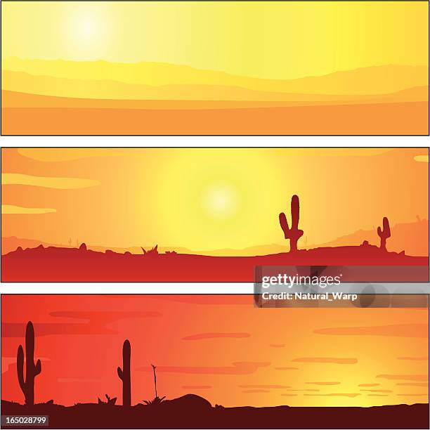 horizon sunset tablets - cactus landscape stock illustrations