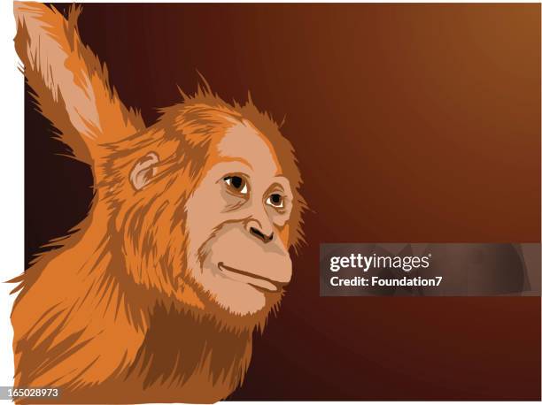 baby monkey - hangin' out - monkey hanging stock illustrations