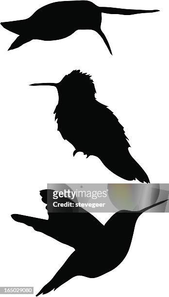 ilustraciones, imágenes clip art, dibujos animados e iconos de stock de colibrí siluetas - canturrear