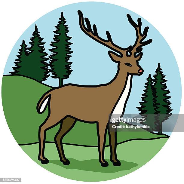 deer-symbol - white tail buck stock-grafiken, -clipart, -cartoons und -symbole