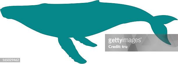 ilustraciones, imágenes clip art, dibujos animados e iconos de stock de ballena jorobada silueta - whales