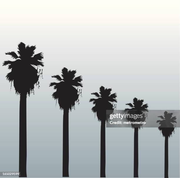 hollywood palms - beach la stock illustrations