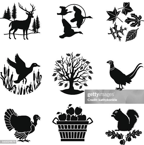 herbst-icons - pheasant bird stock-grafiken, -clipart, -cartoons und -symbole