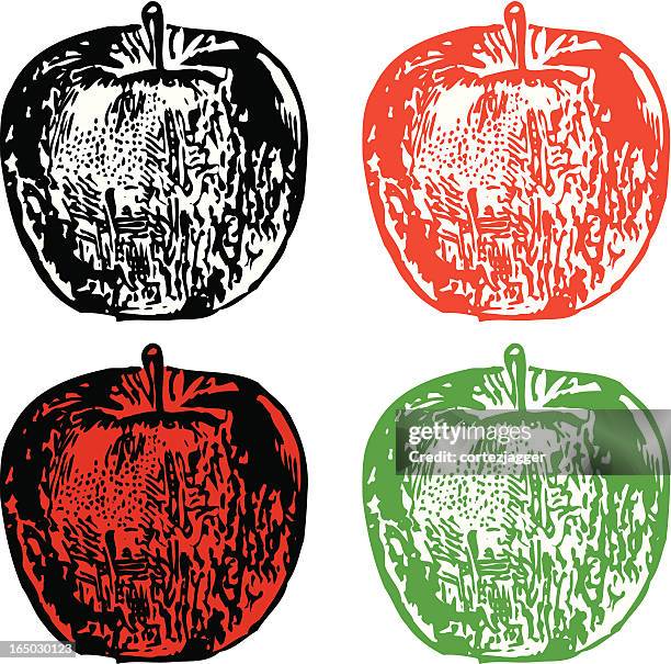four apples (vector illustrations) - granny smith apple stock illustrations
