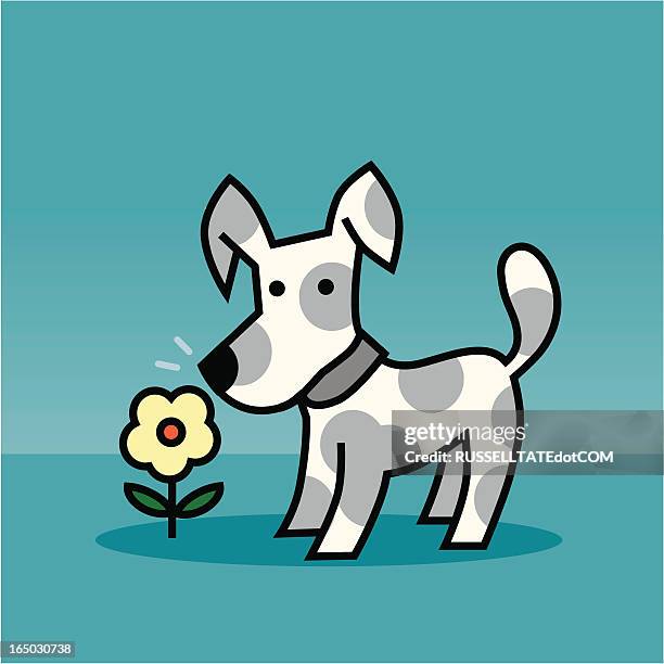 ilustraciones, imágenes clip art, dibujos animados e iconos de stock de flor de perro - oler comida