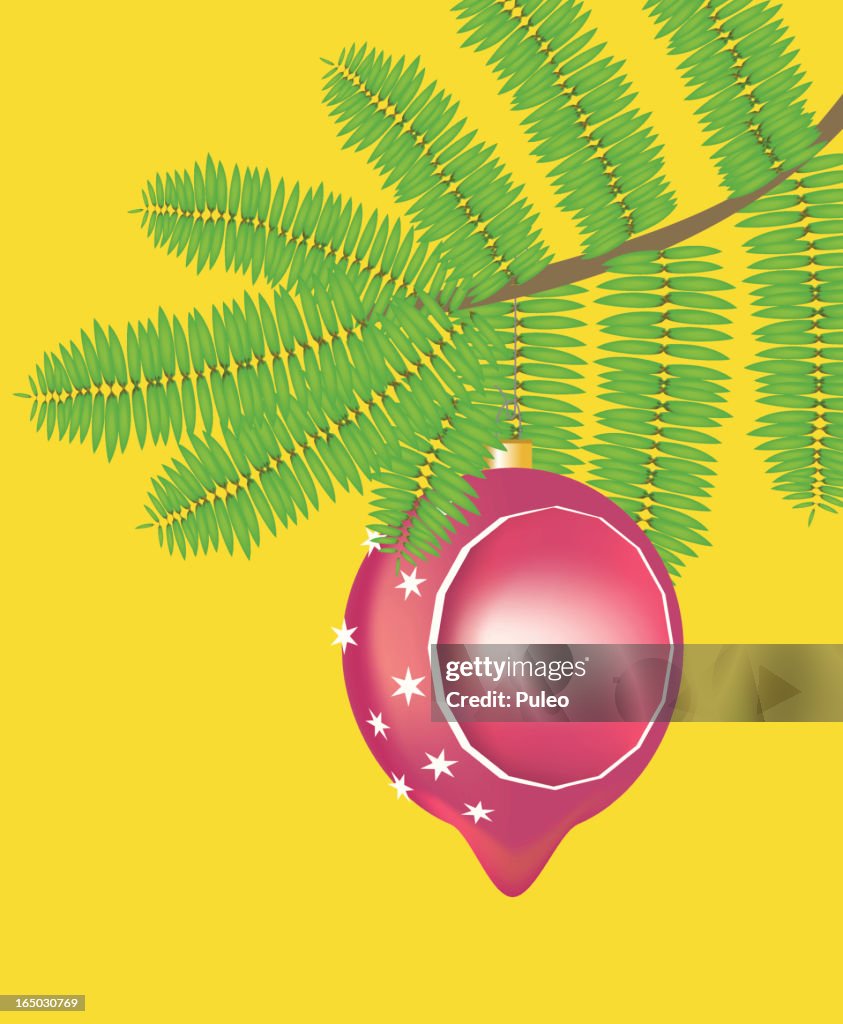 Christmas Ball in Tree