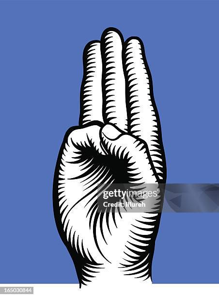 1,288 Boy Scout Symbol Stock Photos, High-Res Pictures, and Images ...