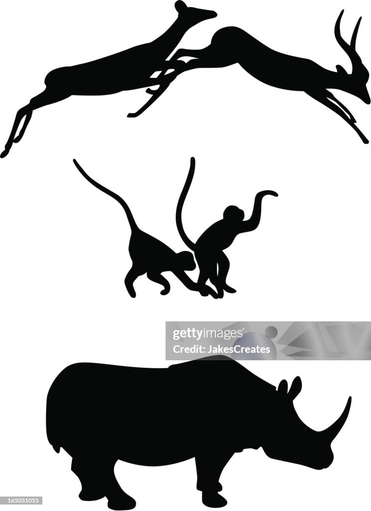 African Animals (Springbok, Monkeys & Rhino)