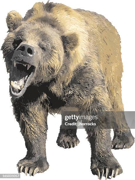 vector grizzly bear - bear hug stock illustrations