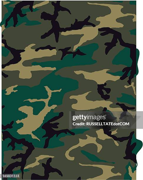 27 Bdu Pattern Stock Photos, High-Res Pictures, and Images - Getty Images
