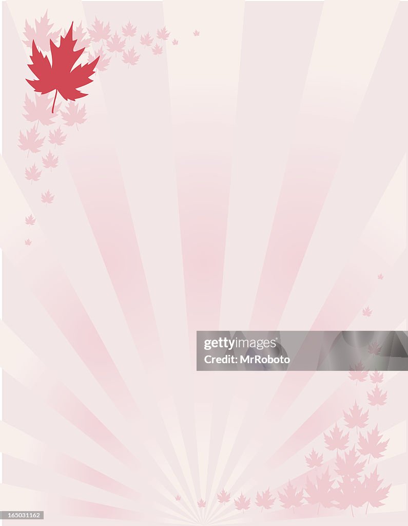 Maple Leaf Burst Stationary