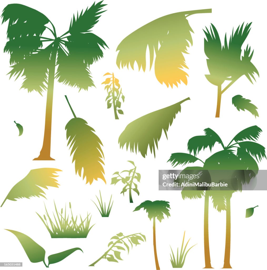 Tropical Set