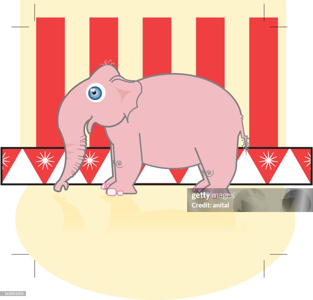 Pink Elephant