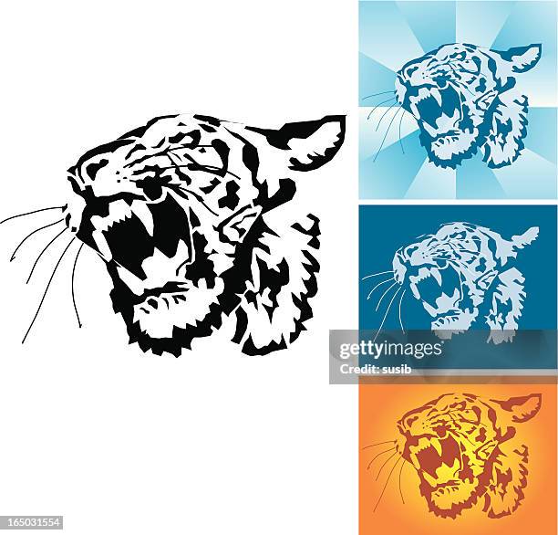 ilustrações, clipart, desenhos animados e ícones de tigre-vetor - roaring