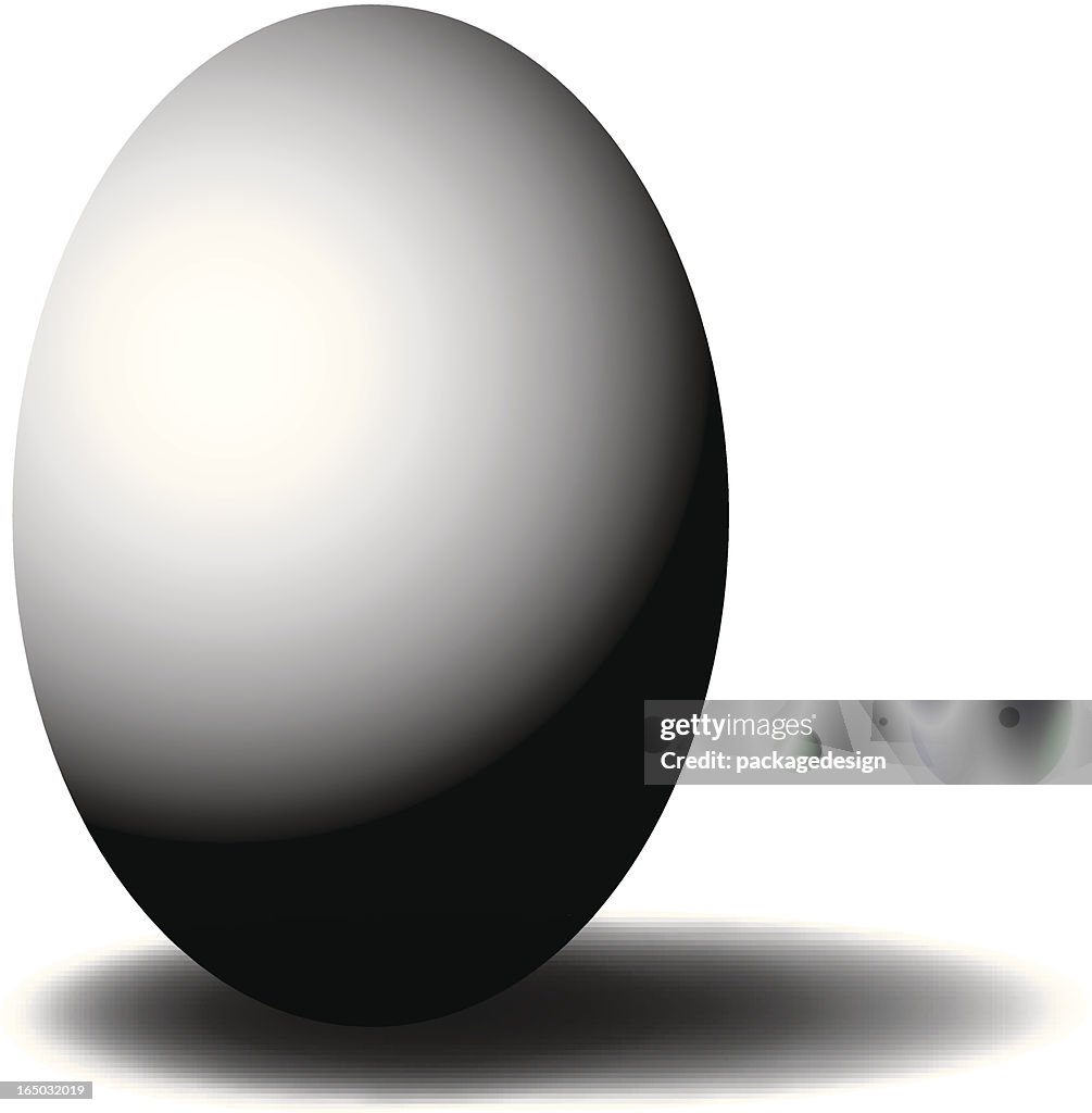 EGG