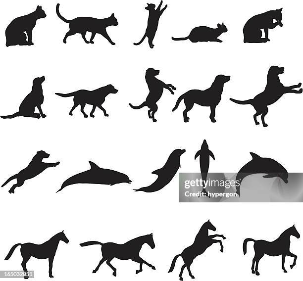 bildbanksillustrationer, clip art samt tecknat material och ikoner med large animal silhouette collection - otämjd katt