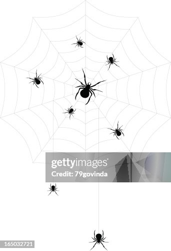 Web Web