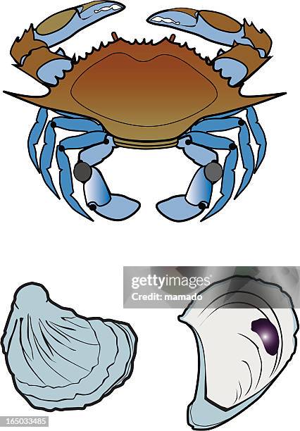 ilustrações, clipart, desenhos animados e ícones de caranguejo-azul e ostras - blue crab