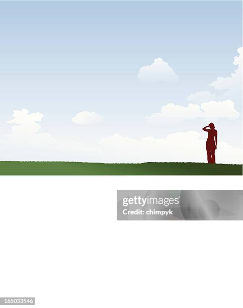 scanning the horizon - open fields stock illustrations