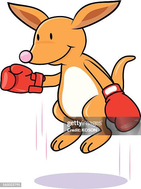 kangaroo boxing - boxing kangaroo stock illustrations