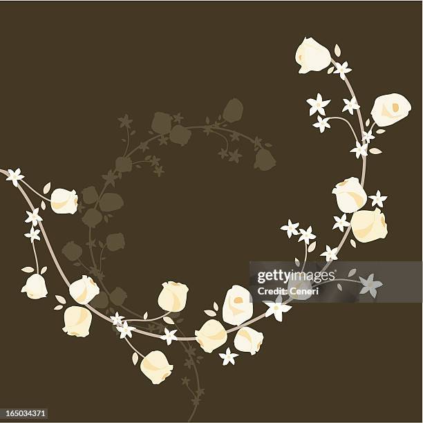 elegant curly white rose vine - roses isolated stock illustrations