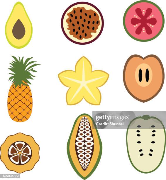 119 Ilustraciones de Guayaba - Getty Images 119 Ilustraciones de Guayaba - Getty Images