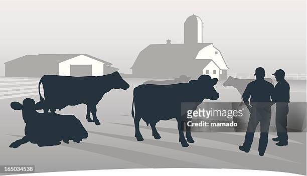agriculture: looking over the herd. - dairy farm stock illustrations